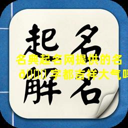 名典起名网提供的名 🐋 字都吉祥大气吗
